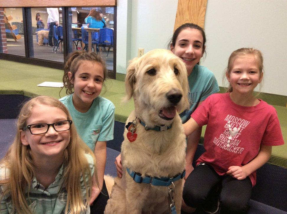 READ: Alliance Therapy Dogs - Always well received at the library!