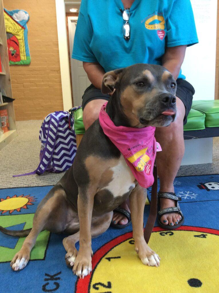 A therapy dog with his owner.