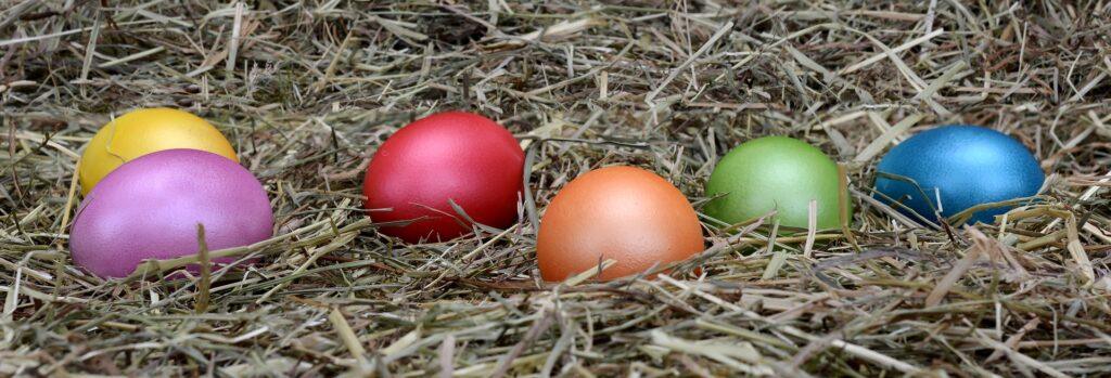 Colorful easter eggs in straw
