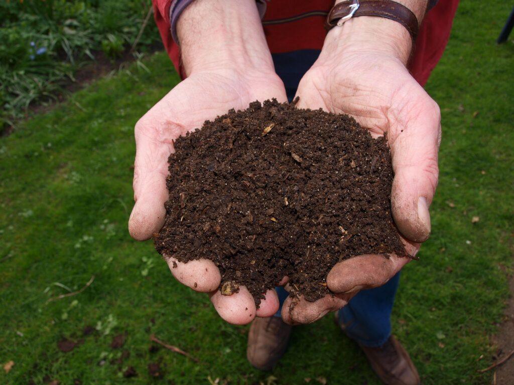 Hands holding rich, dark soil over green grass, showcasing a gardening or composting activity.
